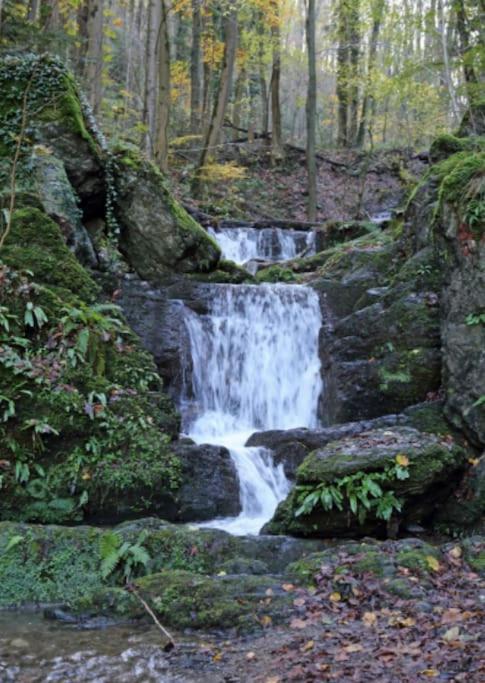 Laissez-Vous Enchanter Par La Vallee De La Meuse Hastiere-par-dela Экстерьер фото